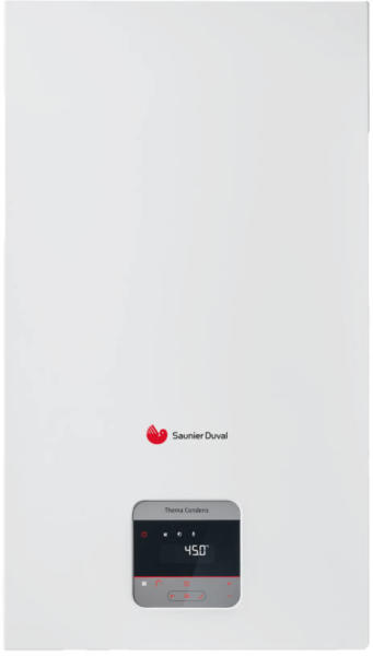 805601823.saunier duval thema condens 31 cs 1 0010025096